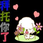 白貴賓犬表情包
