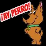 MI PAQUETE 50
