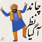 چاند پر نظر آگیا