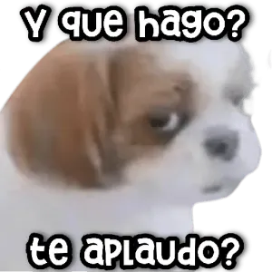 t0sv54