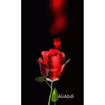 متحركه