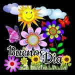 feliz día Mi colección