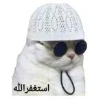 مافي poloo ديق