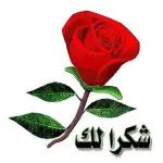 ره
وعلمكم
السلام
ت له وقراهم