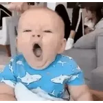 vamos a esquiar juntos