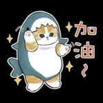 鯊魚貓咪 2
