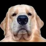 Excelente y Bendecido Día