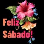 3DIAS SEMANA/FIN SEMANA03