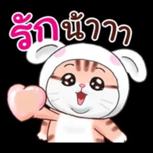 qz0soqm