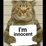 I'm innocent