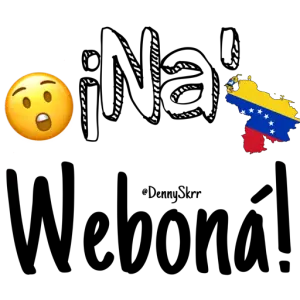 V2Un81