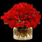 all flowers are for u