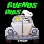 teriz Dia