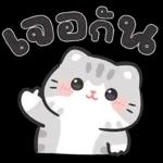 แมวมาร์คัส V.3 : HNY