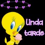 paquete 2