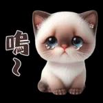 可愛暹羅貓的日常