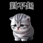 灰色虎斑小奶貓大字大貼圖