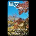 早安這世界(卡地夫) 5