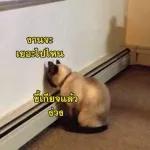 คุณถูกลบออกจากการแชทเป็นกลุ่ม