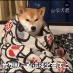 Qué se sentirá ser feo?