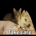 Congratulations！🥰