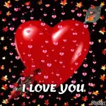 Love you❤️❤️