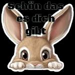 guten morgen