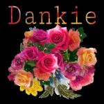 Mag jou drome so mooi wees dat