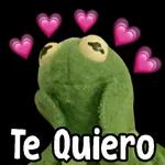 Mis favoritos 