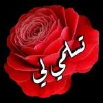 احبك 