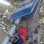 Monkeys
                            Get buck