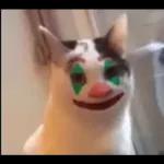 Videocats