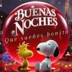 nuevas 
