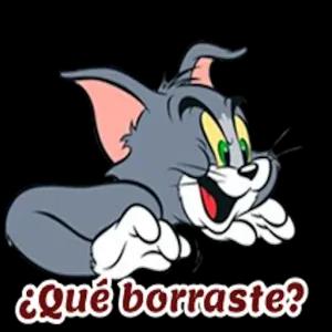 ¿Qué borraste? - getsticker.com