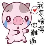 今日福利就等你來 💝