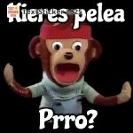Quieres pelea Prro?