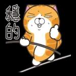 白爛貓51☆腦有動☆