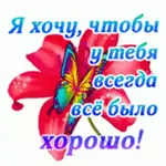 нов
