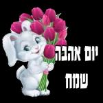 הורדה חינם, עדכונים יומיים, אין צורך בכניסה