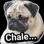TOY CONFUNDIDO 