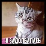 привет
