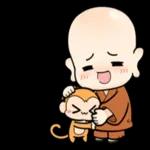 快去睡吧，在路上了！