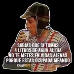 chavo del 8 