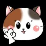 Cats! For reply