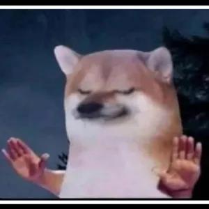 0WcKag