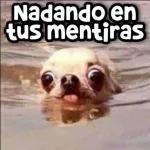 Nadando en tus mentiras