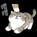 愛撒嬌的奶油小生 (虎斑貓)