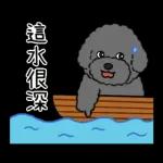 今天好屏友 × DT貴賓俱樂部