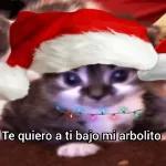 te espero bajo me arbolito