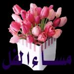 لله الله دائما وأبدا